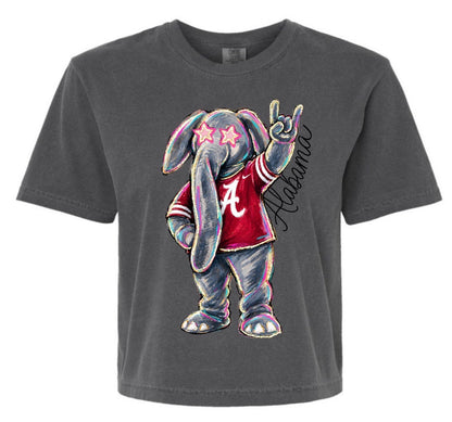 Boxy Big Al Color Tee