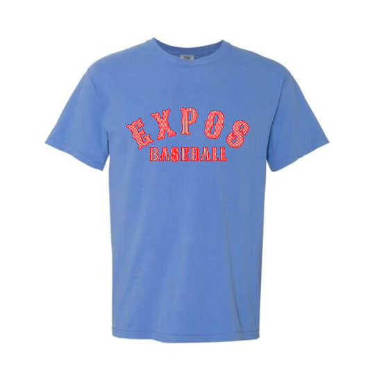 Expos Pinstripe Tee