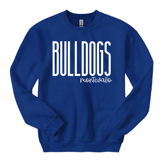 Birthday Mascot Youth Sweatshirt