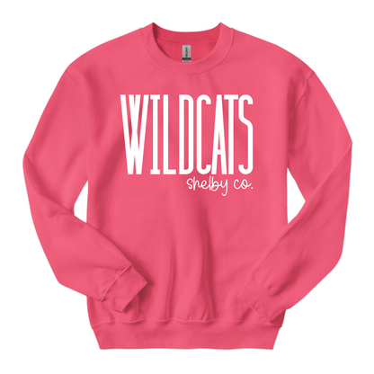 Birthday Mascot Youth Sweatshirt