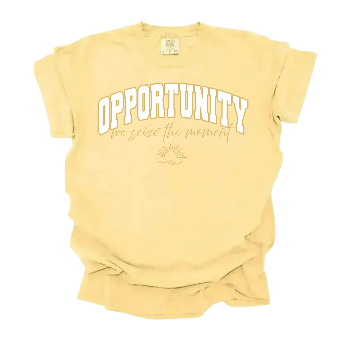 House Color Tee (Opportunity)