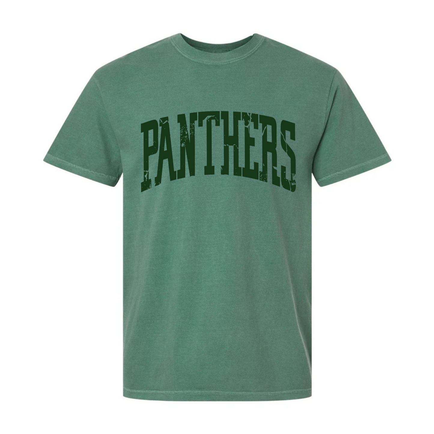 Panthers Grunge Tee