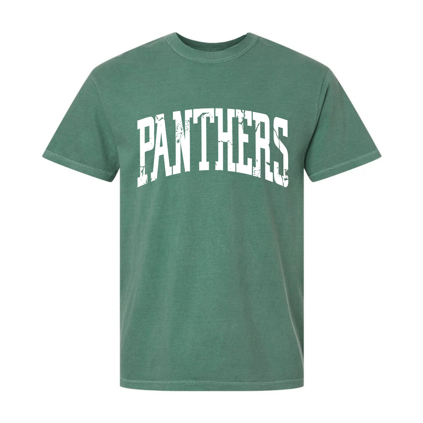 Panthers Grunge Tee