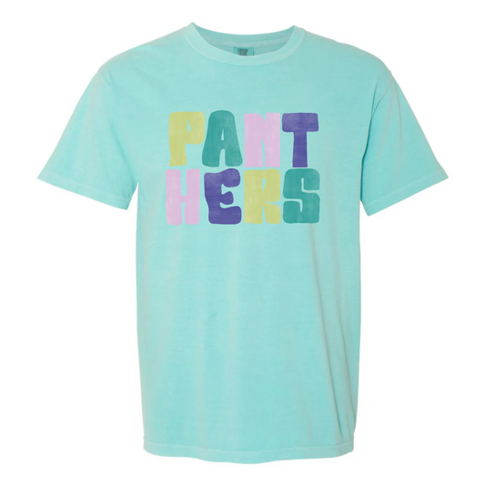 Panthers Color Block Tee
