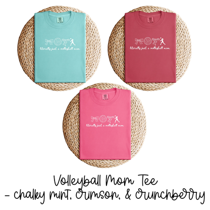 Shelby County Volleyball T-Shirt Bundle