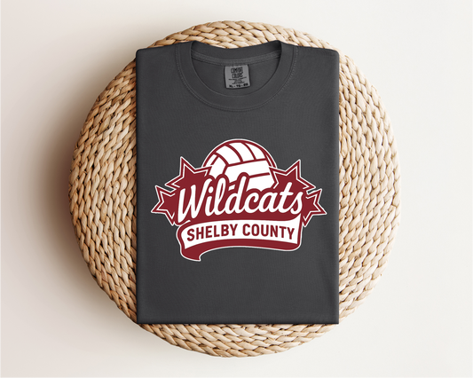 “Wildcats Volleyball- AllStar” Tee